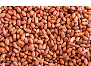 Groundnuts (Peanuts)