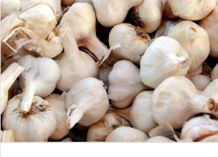 Garlic (Fresh & Dried)