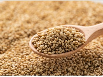 Sesame Seeds