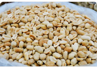 Roasted Peanuts