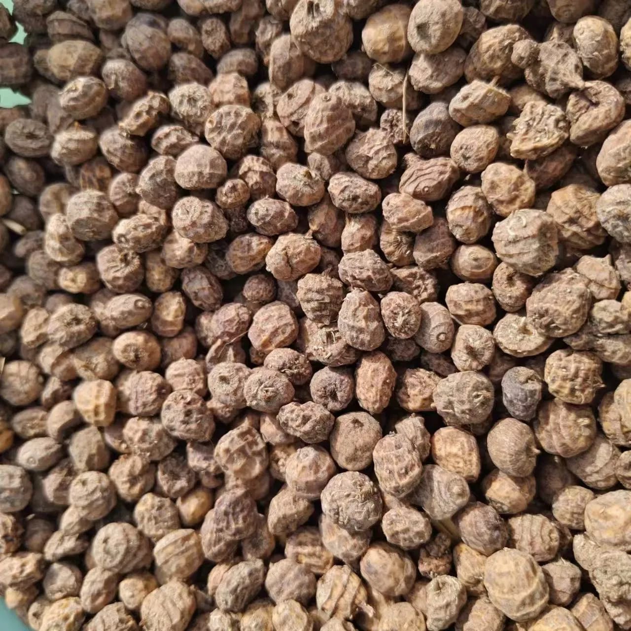 Tiger Nuts